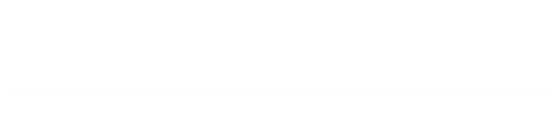 IT in business Management & Consultancy
